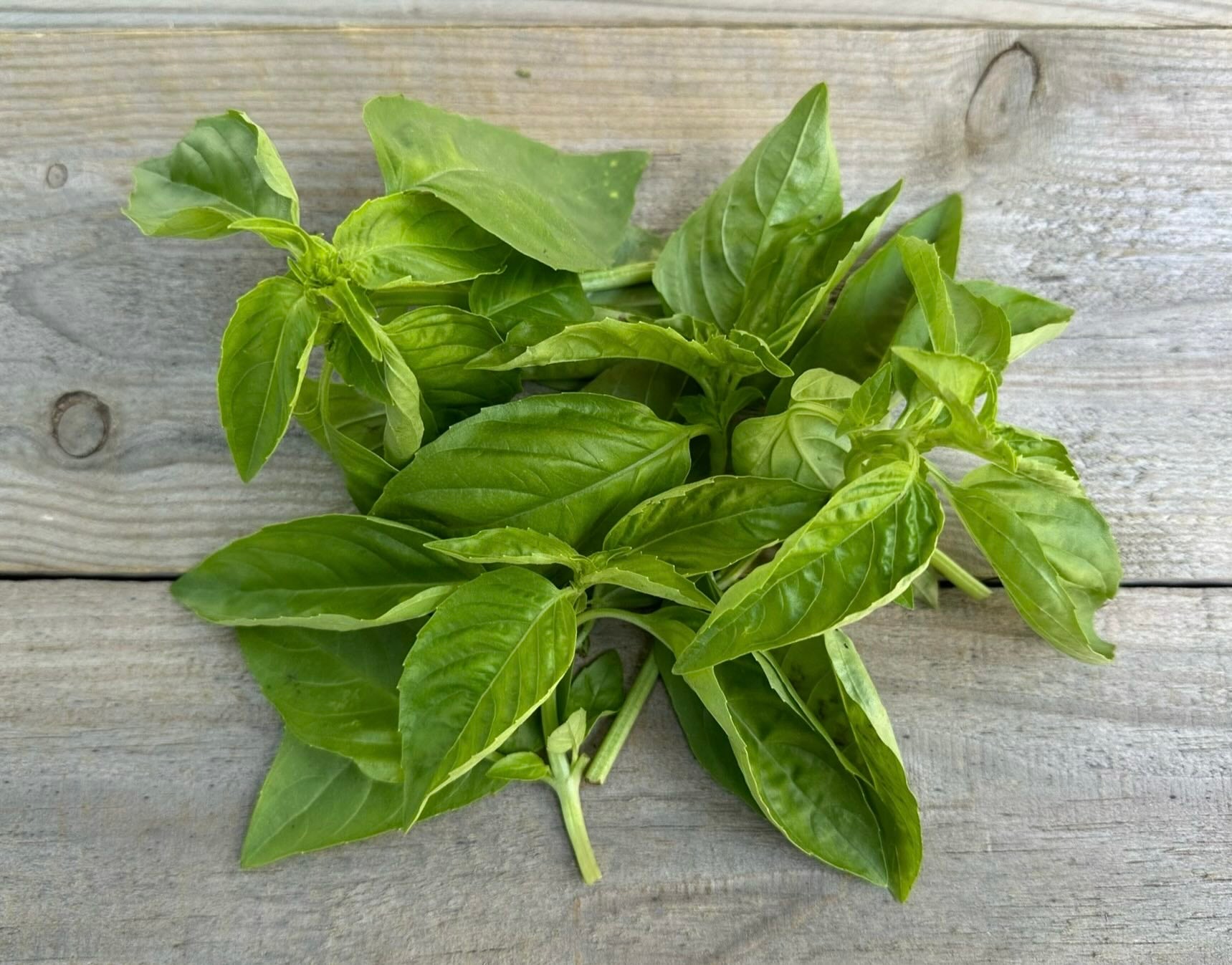 Grace Place Farm & Gardens